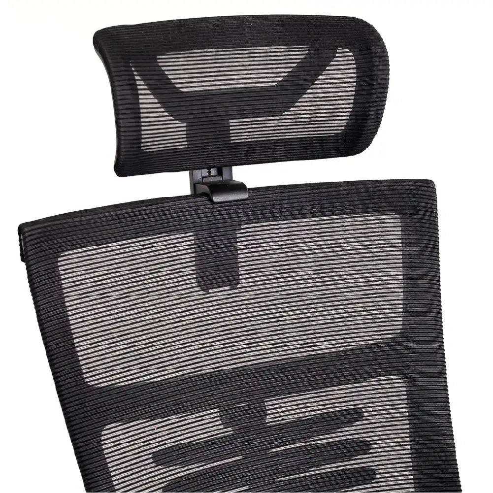 Cadeira Ergonômica Elements Vertta Pro